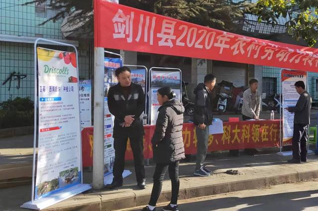 剑川招聘网最新招聘信息速递🌟