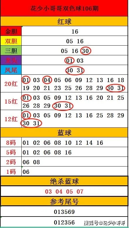 2024年双色球开奖,现况评判解释说法_清晰版11.494