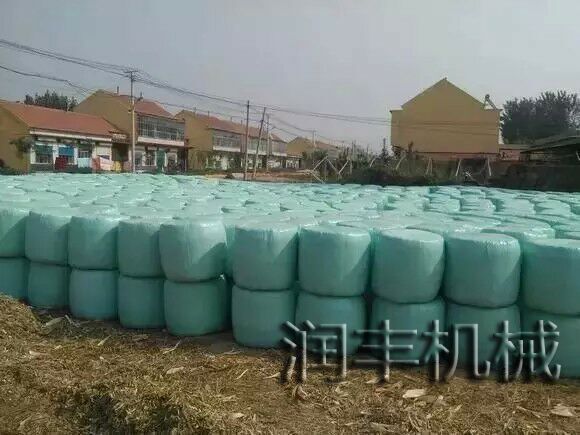 最新青储,最新青储，背景、事件、影响与时代地位