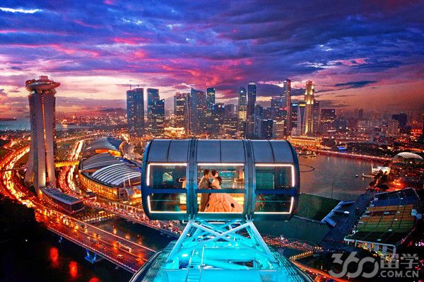 新加坡最新公布,小城的温馨日常风采