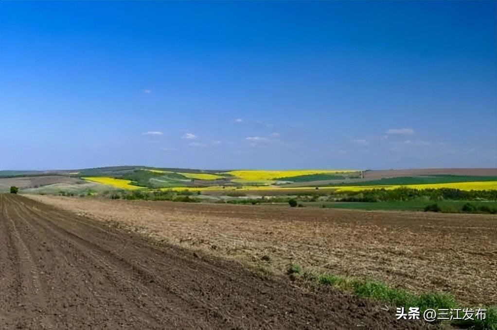 非农化最新,🌟非农化最新动态🔥