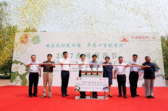 香河最新新闻,日常趣事与友情纽带