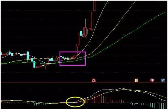 新澳历史生肖走势图,时尚法则实现_车载版23.381