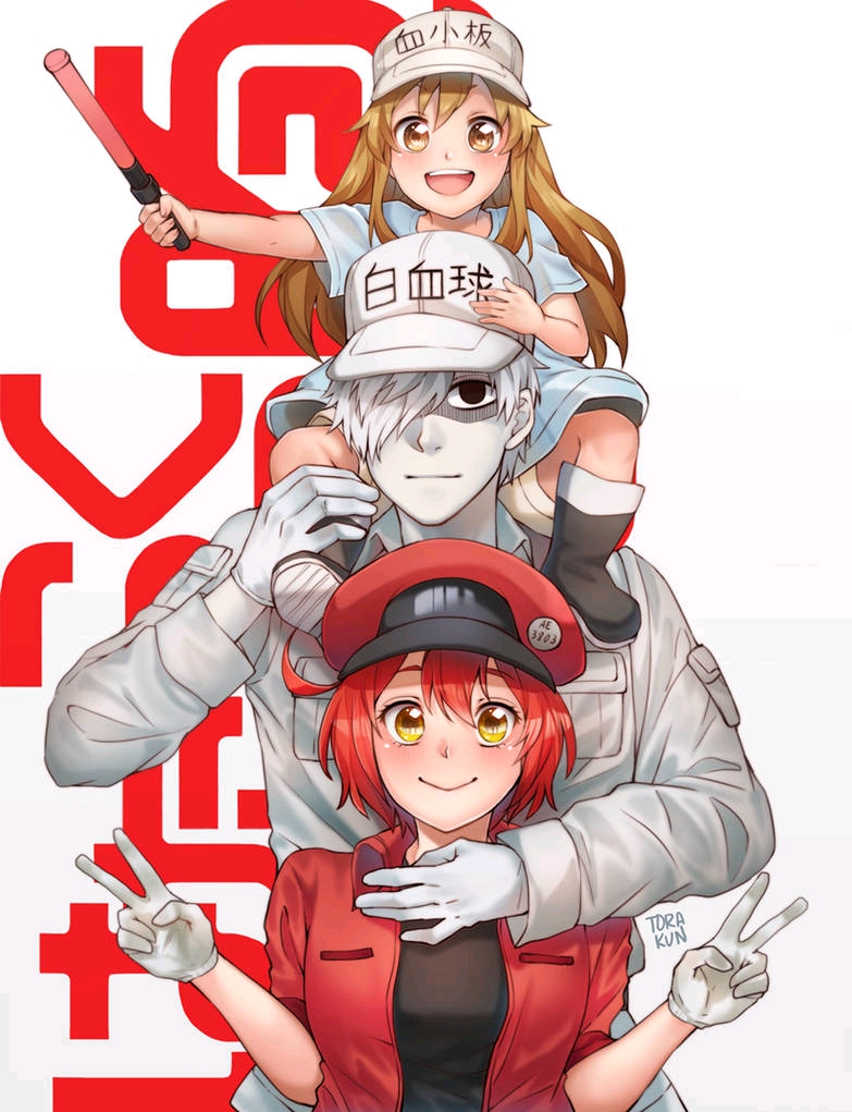 细胞王国的奇妙冒险,工作细胞最新日常