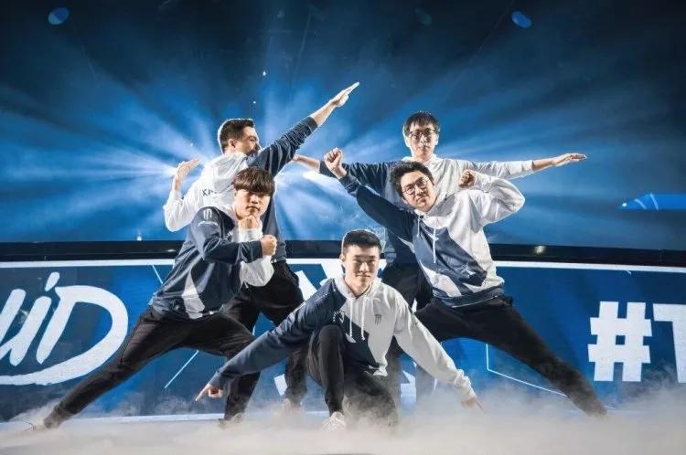 TL战队最新动态深度解析