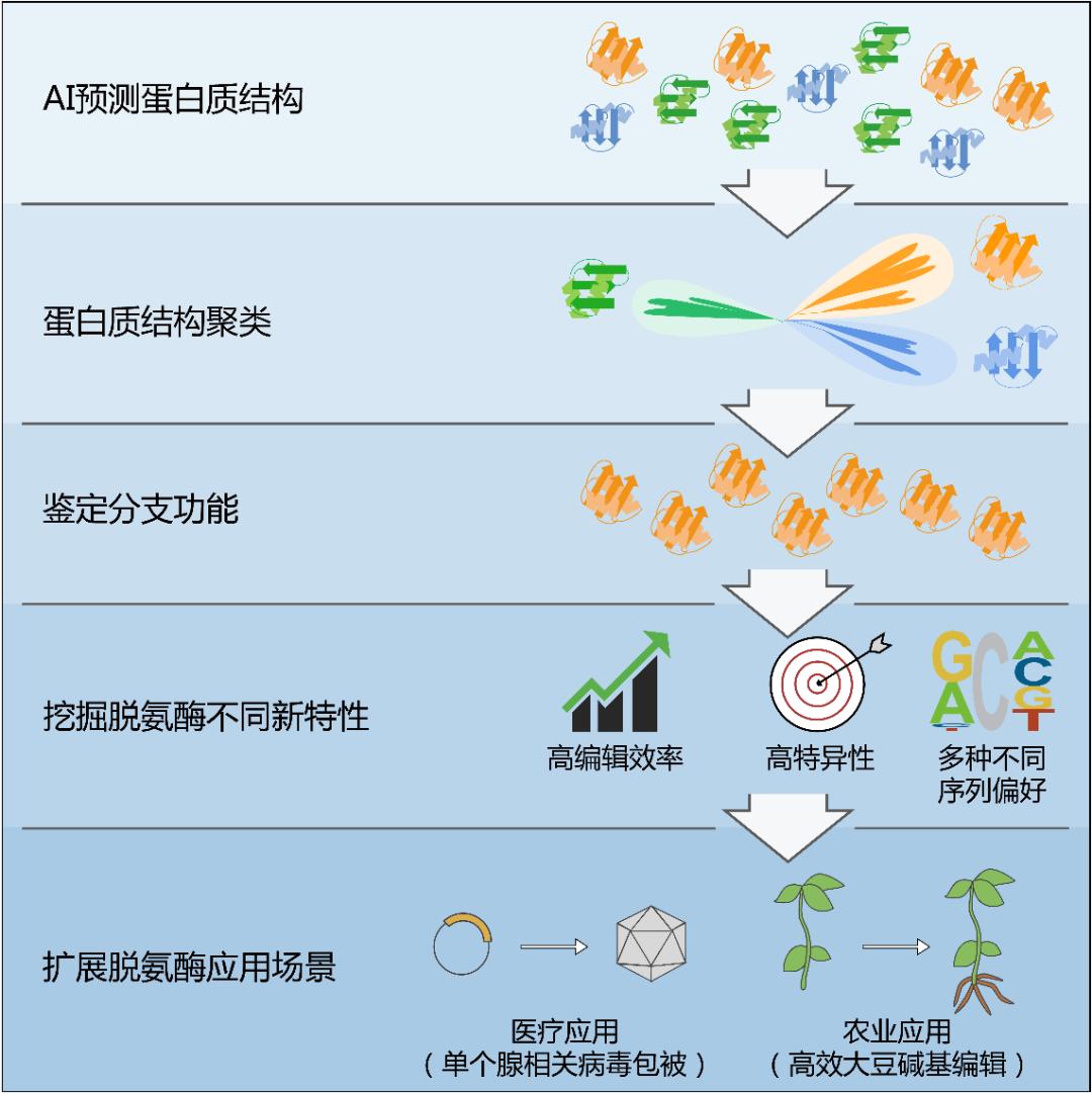 新澳门期期准精准,推动策略优化_编辑版13.363