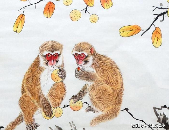 莫惜一四衣打一正确生肖,仿真方案实施_运动版79.277