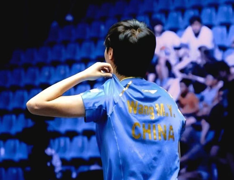 香港今晚必开一肖,机制评估方案_触控版74.468