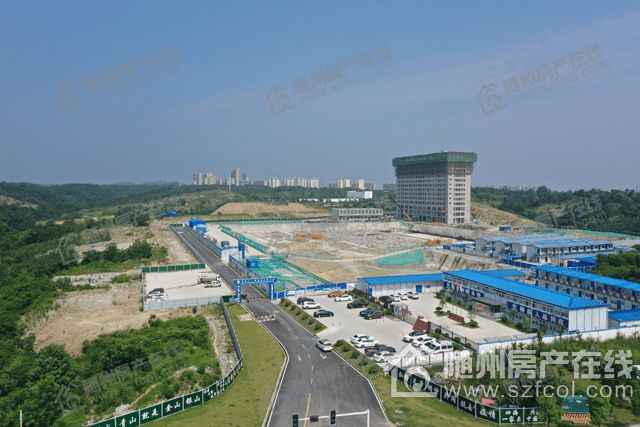 随州最新疫情动态与科技产品介绍