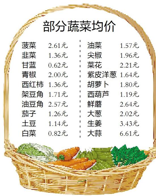 衡水菜价最新动态,市场走势及影响因素分析