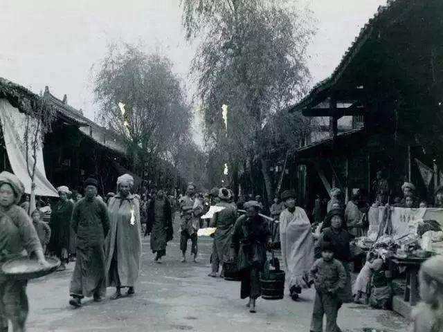 最新时期,与自然美景的邂逅,探寻内心平和之旅