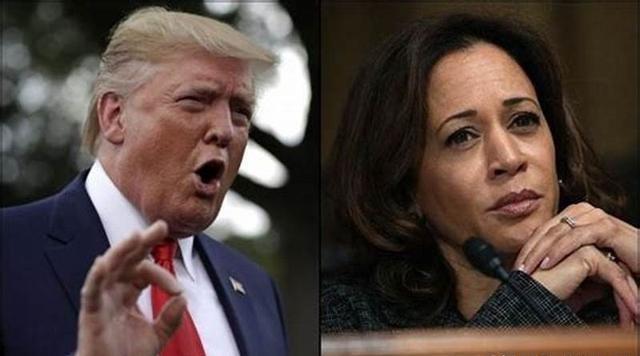 最新宪政票详解，一步步指南