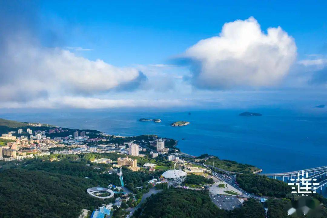 大连最新约,大连最新约的多元解读与个人立场