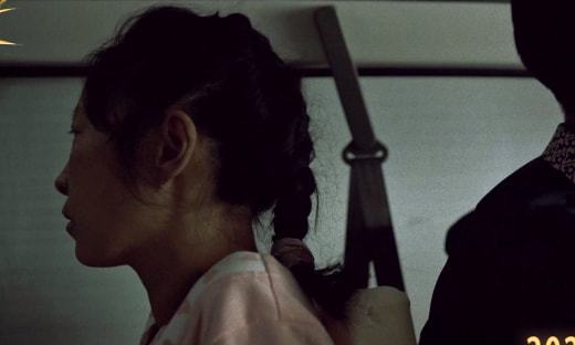 最新电影温柔深度解析与观点论述