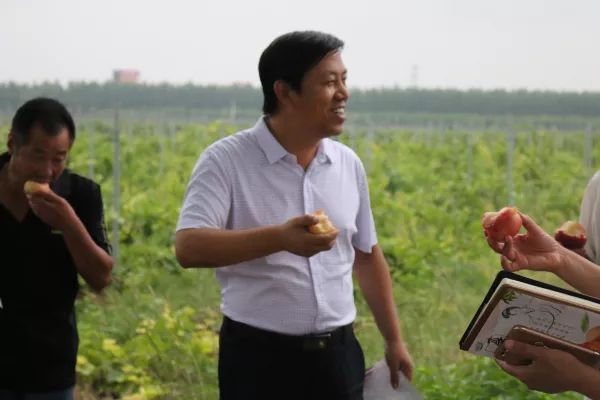 定州李最新，多维度视角下的观点深度阐述