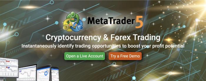 Gib最新动态概览,最新发展、变化和趋势