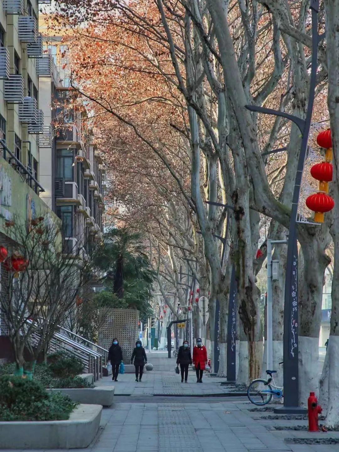 封城最新,小巷深处的独特风味,隐藏版特色小店探秘