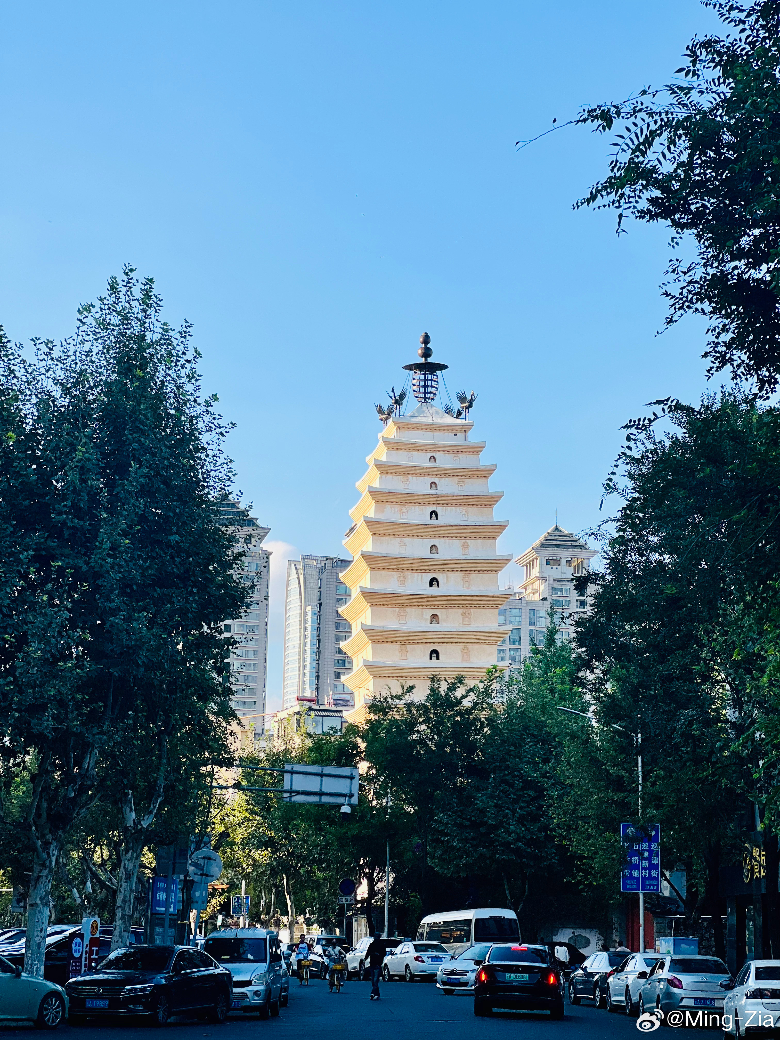 昆明拍照最新,光影中的春城记忆珍藏版