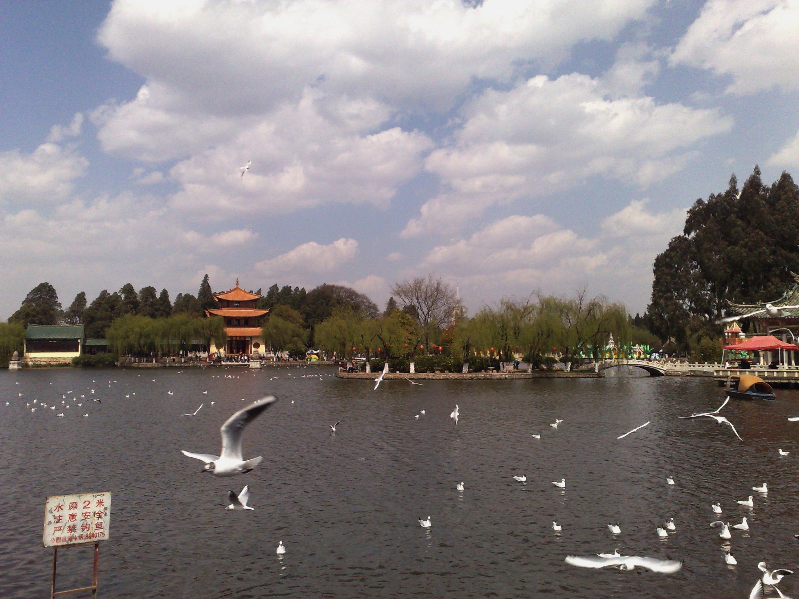 昆明拍照最新,光影中的春城记忆珍藏版