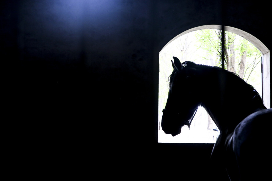 2024新澳门天天开奖免费资料大全最新,动态解读分析_零障碍版93.349