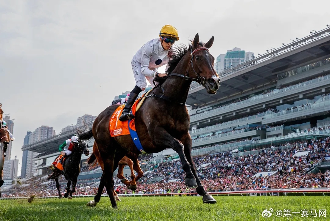 2024香港赛马全年免费资料,快速解答方案实践_赛博版11.141