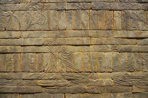 神秘古墓揭秘与日常趣事,仙人墓最新动态