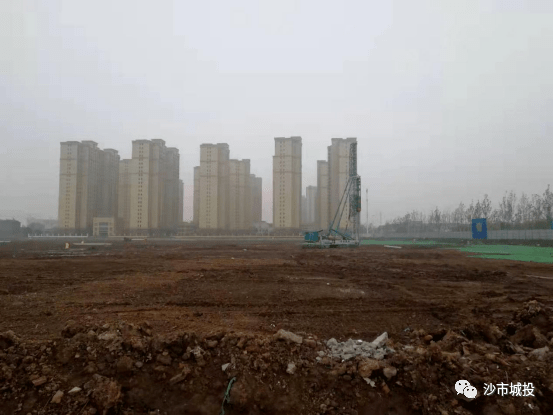 沙市最新疫情动态,疫情下的温情与陪伴日常