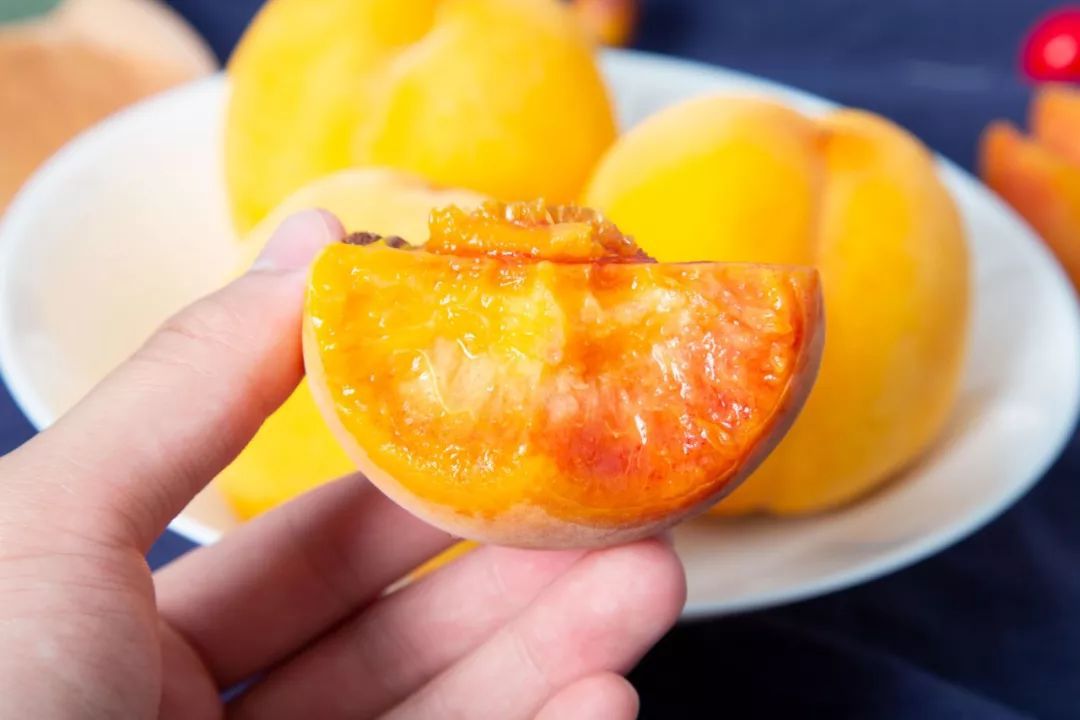 高科技产品引领时代风潮，蜜汁满满重塑生活体验