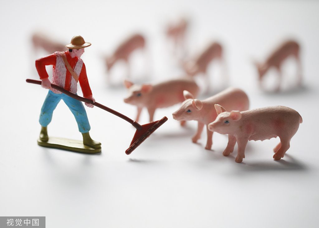 猪肉基金最新动态，科技引领投资未来，重塑生活潮流