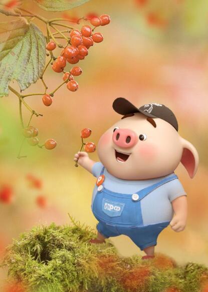 单身之旅,自然美景中寻找内心平和与宁静的旅程