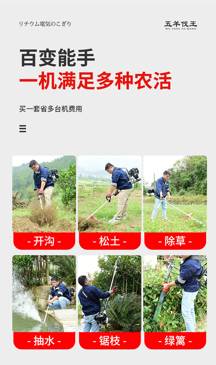 王牌除草最新,小巷中的秘密花园绿色之旅