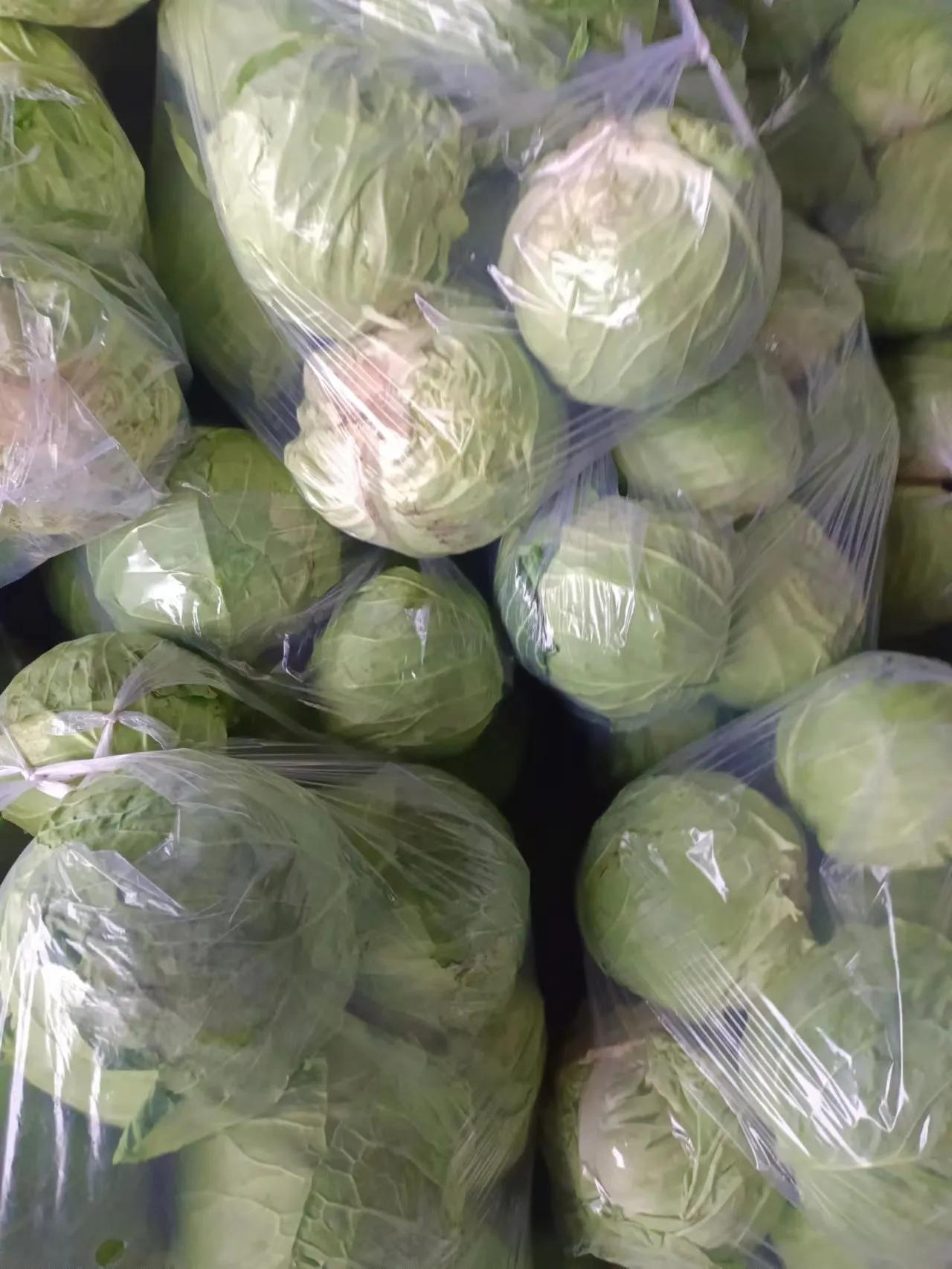 最新市蔬菜的探秘之旅