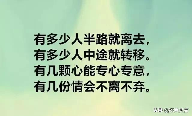 凉容最新动态，学习变化，自信成就无限可能