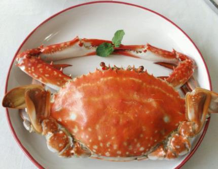 螃蟹最新价格揭秘，小巷深处的海鲜秘境探索