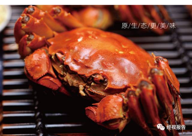 螃蟹最新价格揭秘,小巷深处的海鲜秘境探索