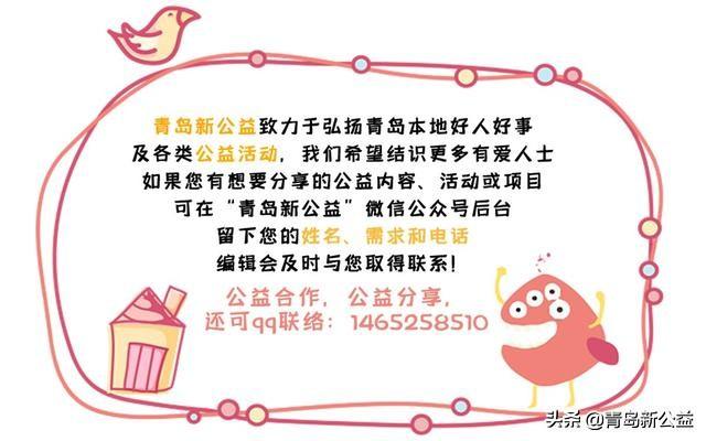 疫情挑战与机遇,最新确诊统计分析