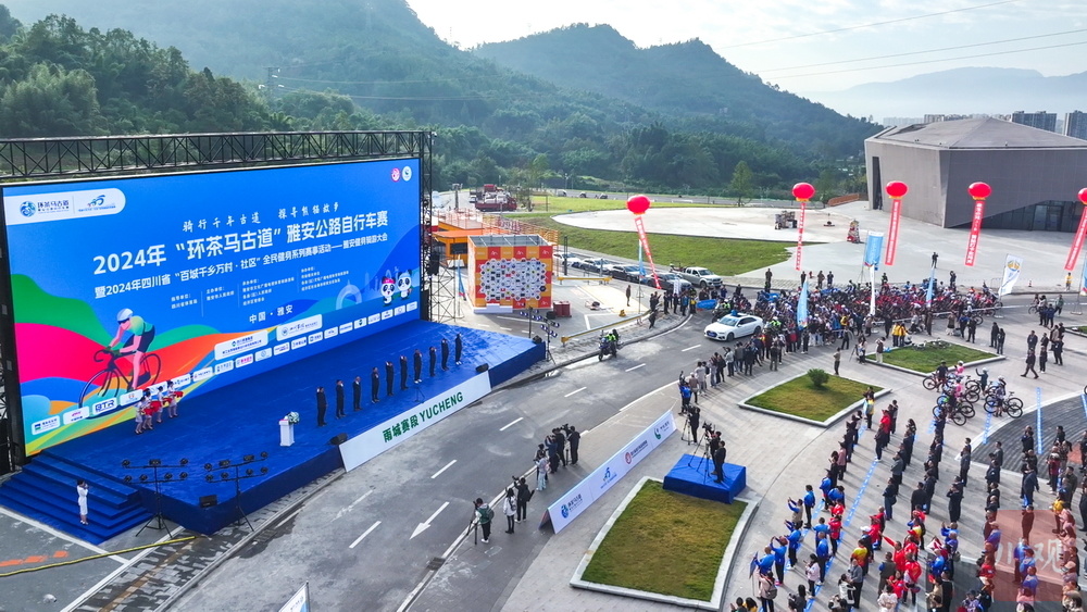 2024新奥正版资料大全,实地验证实施_旅行助手版4.318