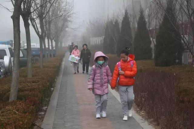 大连最新通知公告