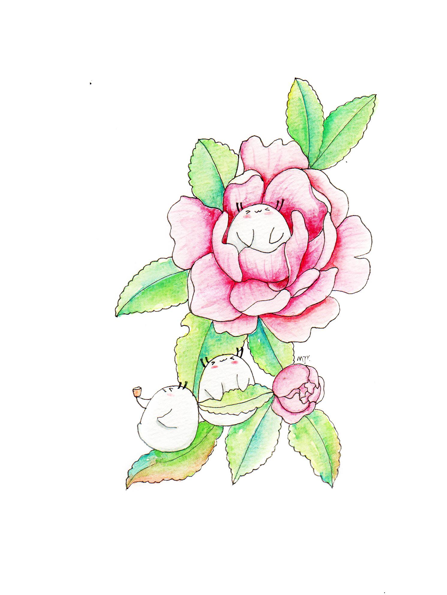 小白最新插画，探索艺术的新疆界