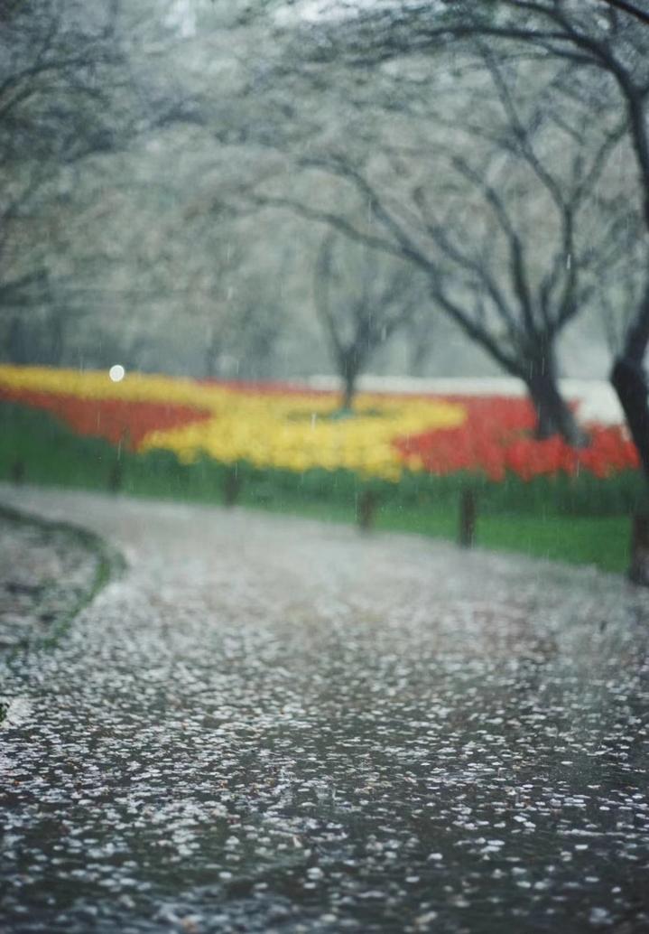 杭州冰雹最新动态,科技重塑天气预警,智能生活新篇章