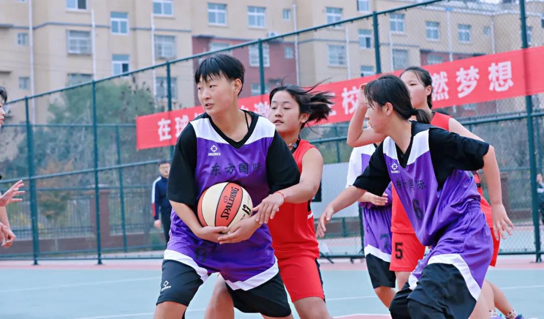 最新峄城区,最新峄城区,一场自然美景的探索之旅