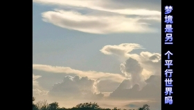 梦境探索,小巷深处的神秘小店