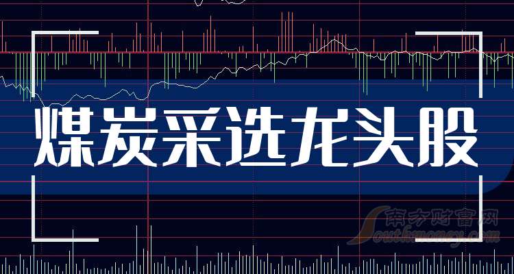 煤炭股最新,煤炭股最新动态分析,前景展望与风险评估