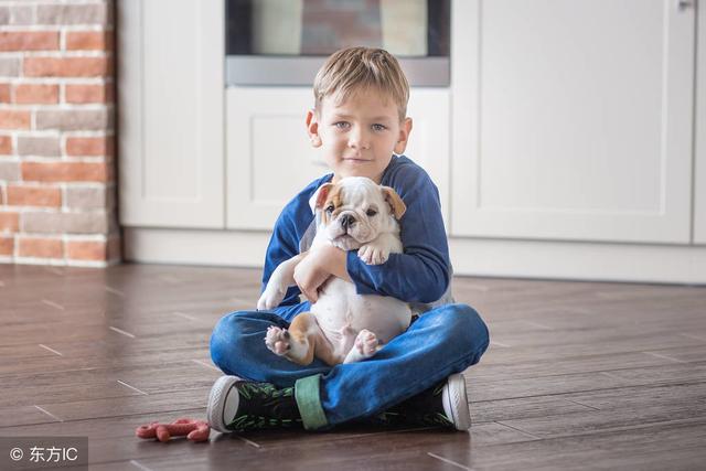 为孩子取名,最新儿子名全面指南