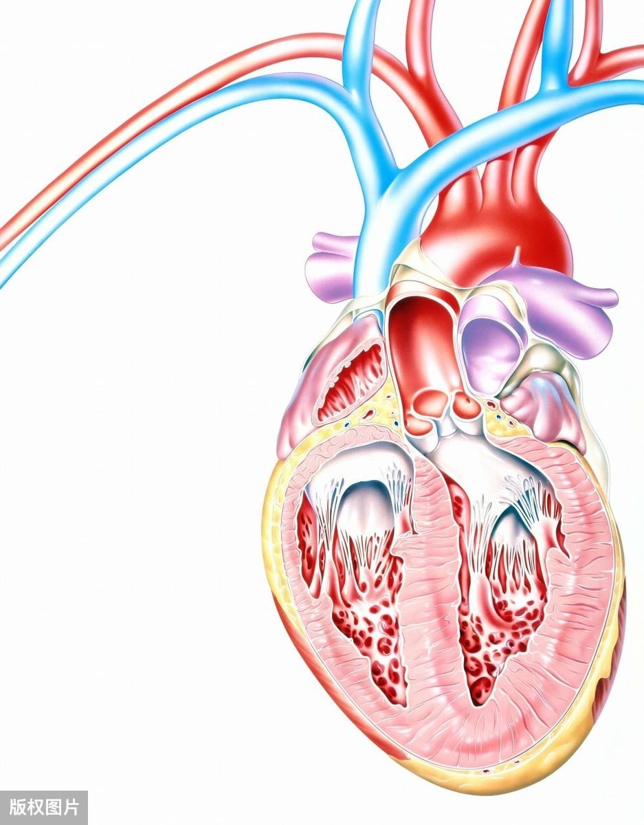 最新新心衰,最新新心衰科技产品介绍文案