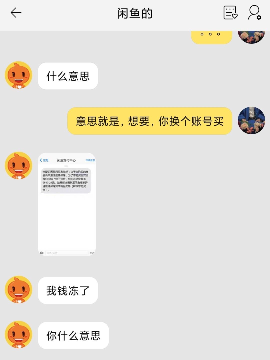 咸鱼暗号最新揭秘，神秘纽带揭秘