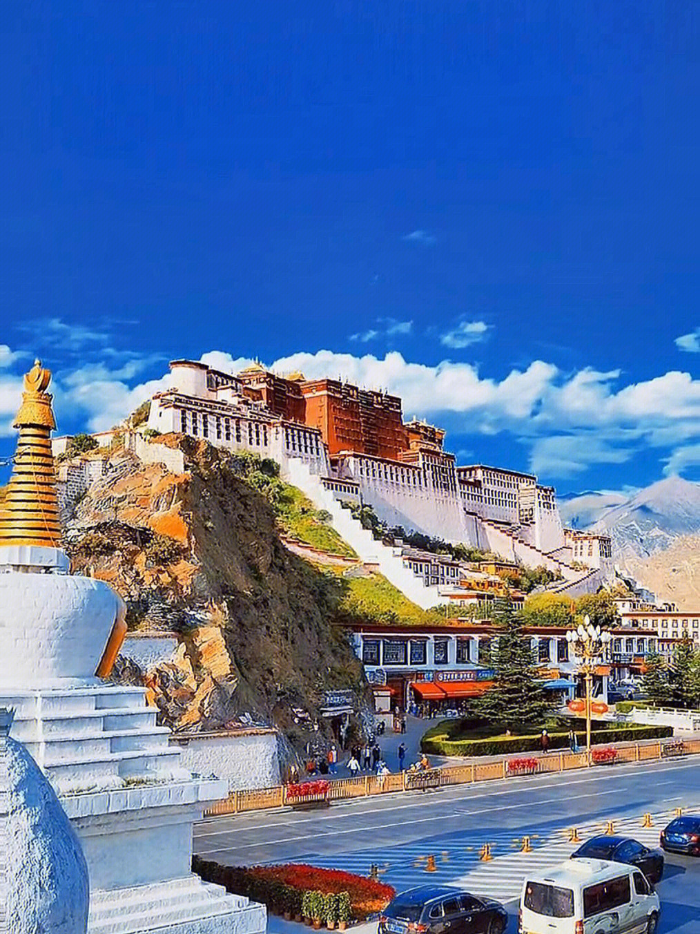 西藏最新旅游,西藏最新旅游，一段温馨有趣的家庭之旅