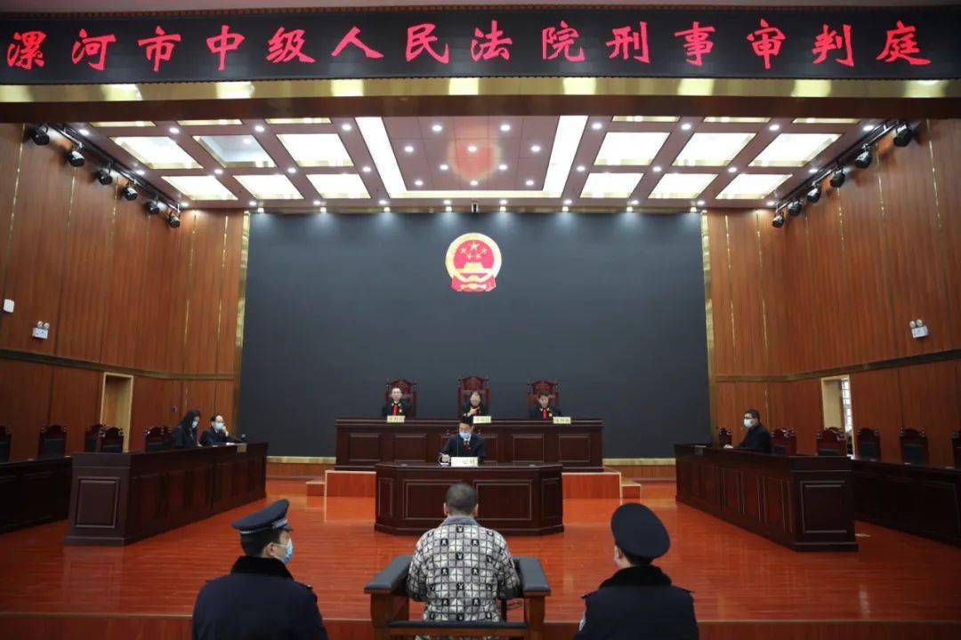 漯河最新案件,变化的力量与学习的魅力展现