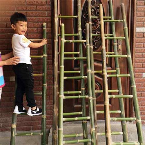 最新搭梯子指南，安全操作，规避法律风险