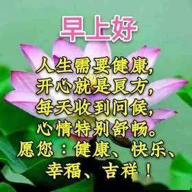 最新早上寄语，阳光下的温馨趣事启航